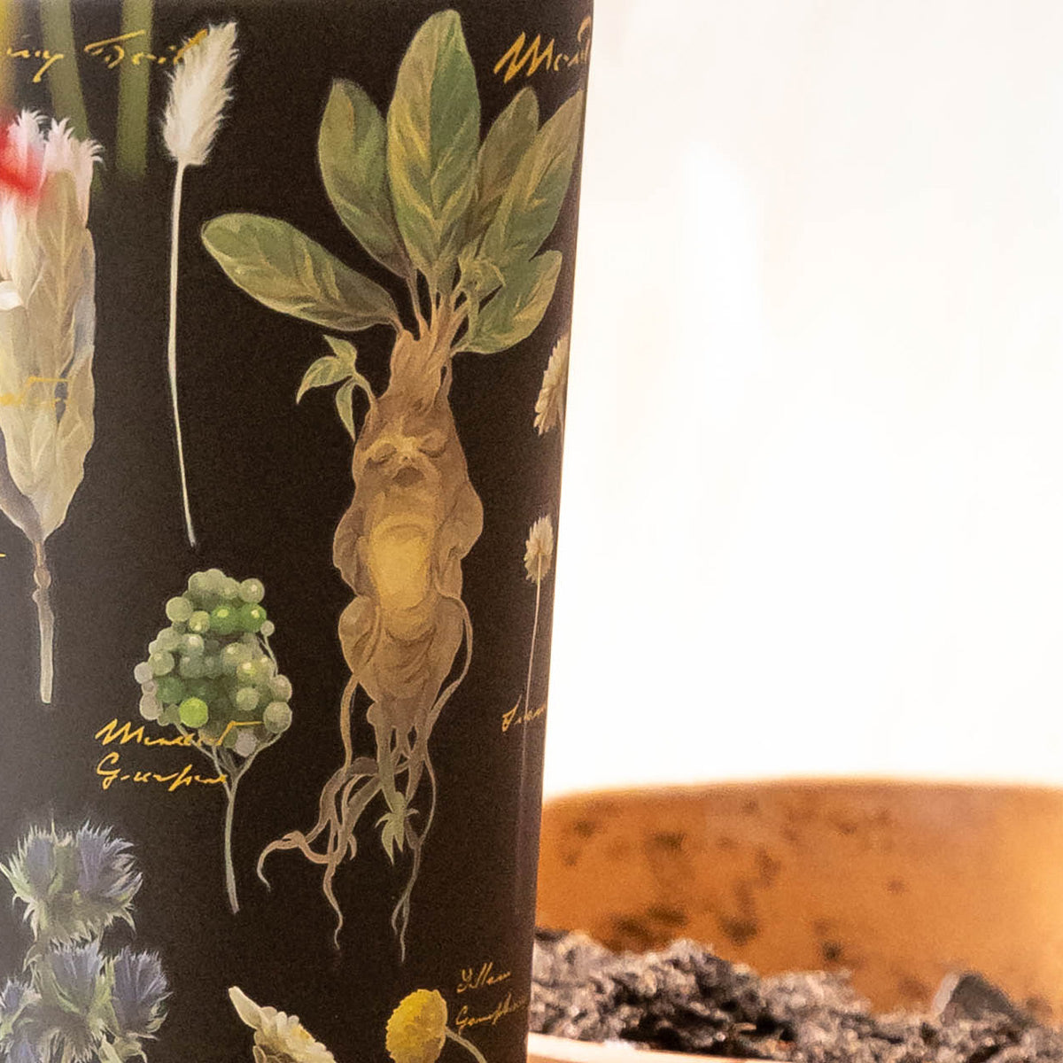 harry-potter-cold-cup-h0 Herbology-3.jpg
